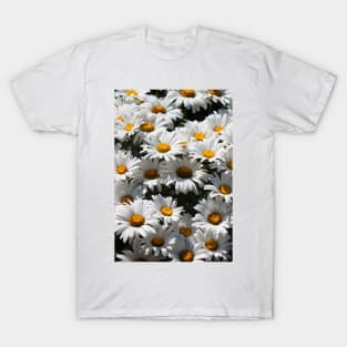 Daisies T-Shirt